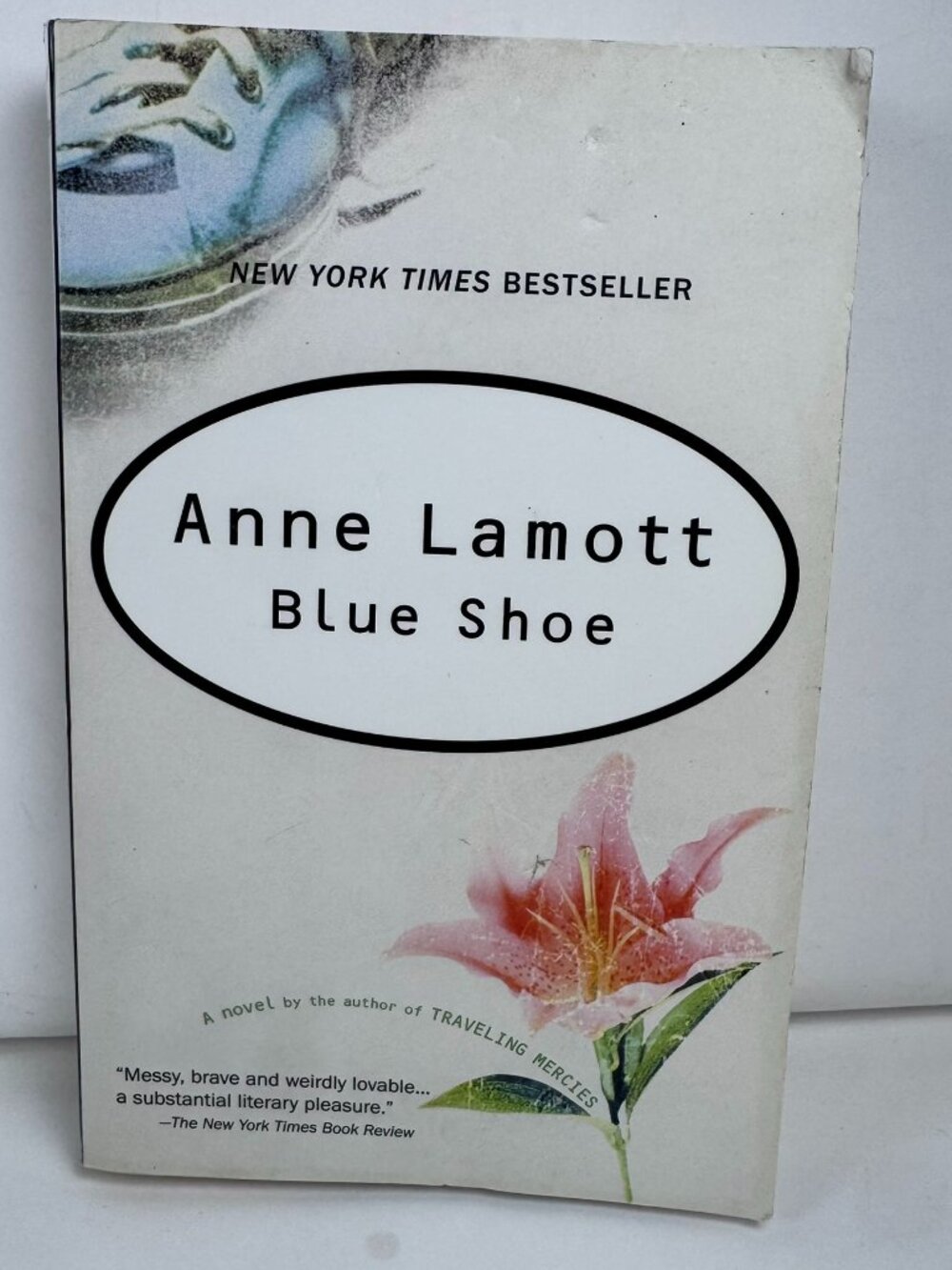 Blue Shoe by Anne Lamott Paperback Novel Fiction Bestseller ISBN 9781573223423